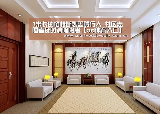 3米长的树枝断裂恐碍行人 社区志愿者及时消除隐患【od体育入口】(图3) od体育入口